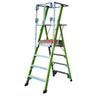 Little Giant Safety Cage